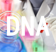 DNA基因检测